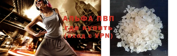 твердый Бородино
