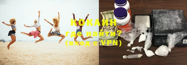 твердый Бородино