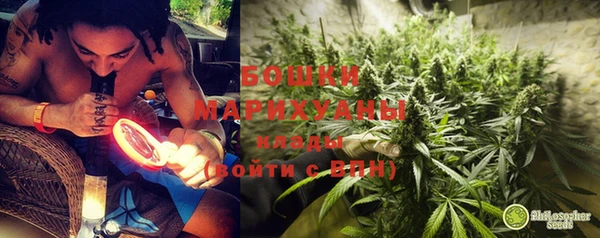 твердый Бородино