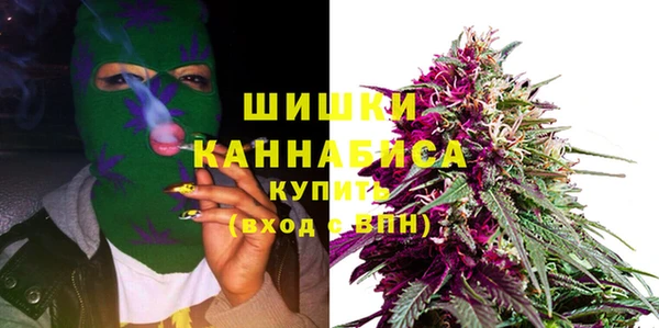 твердый Бородино