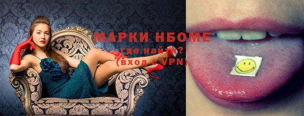 твердый Бородино