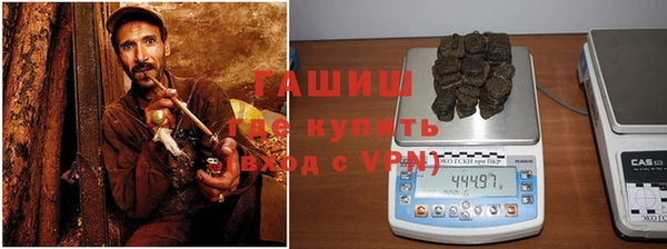 твердый Бородино